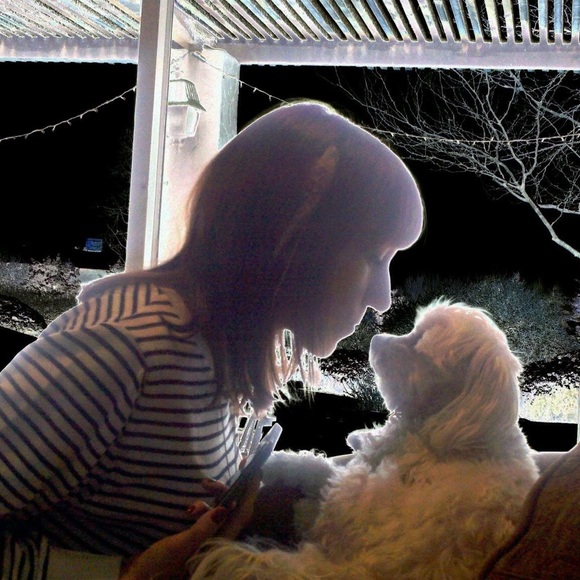 Meet your Posher, Dara - Picture 5 of 7